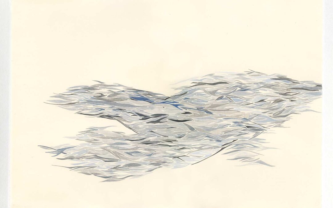 What Can Be Seen Beyond the Burden of Knowing